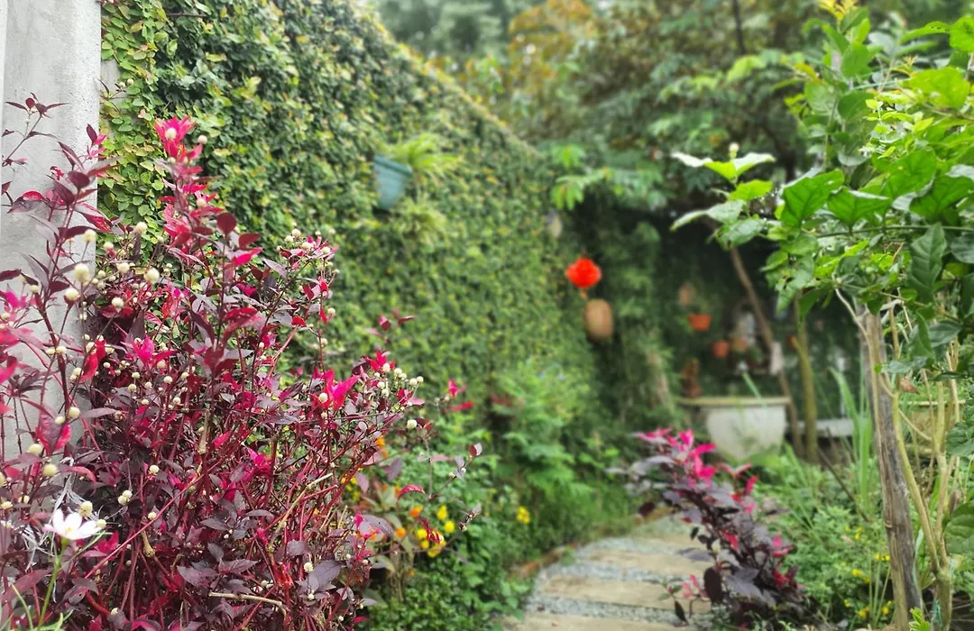 Vom Vom Garden House-1