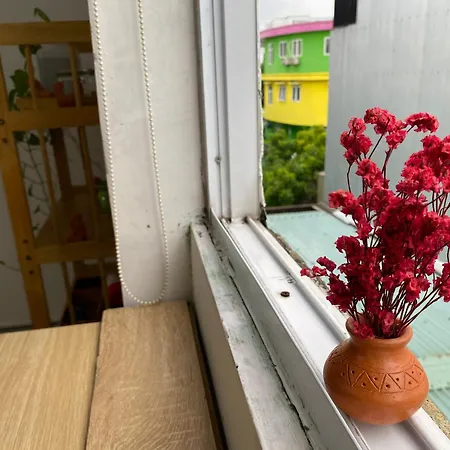 Lu Peaceful Homestay-3