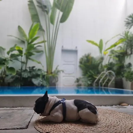 Lada'S House Da Nang-3
