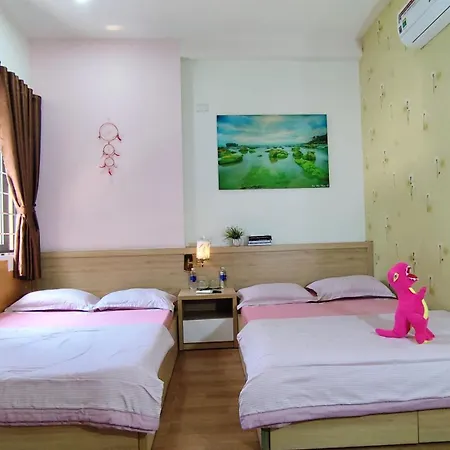 Homestay Halley-2