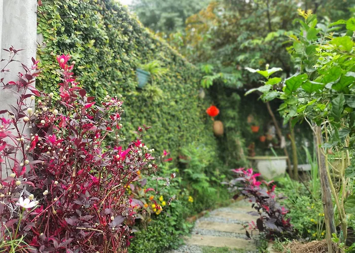 Vom Vom Garden House Apartment Đà Nẵng, Việt Nam